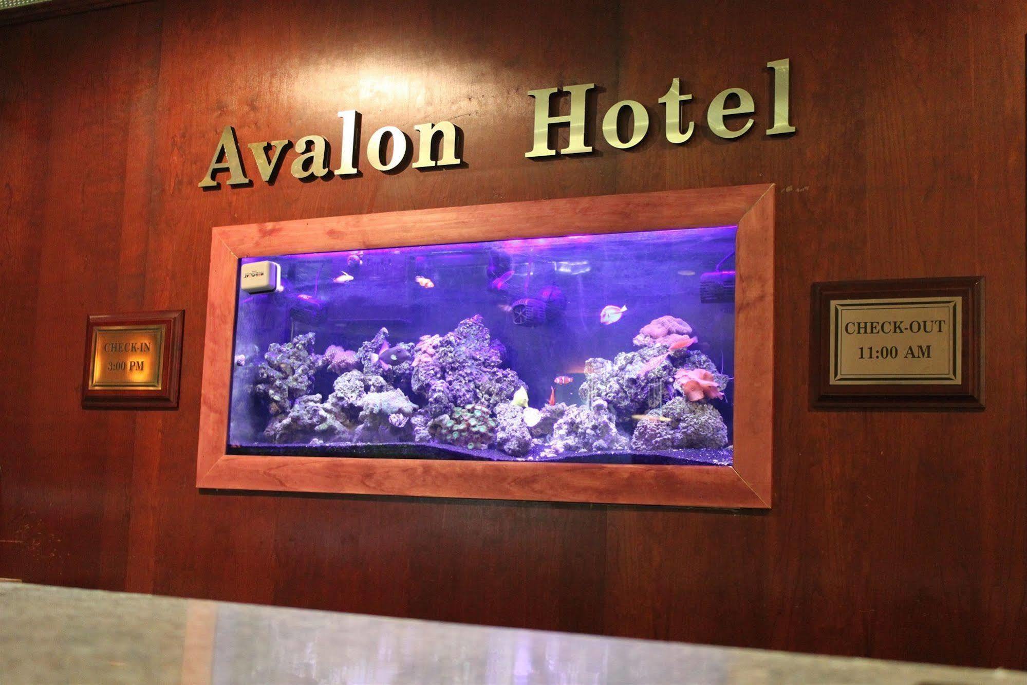 אירי The Avalon Hotel And Conference Center מראה חיצוני תמונה
